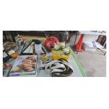 Antique teapot lamp shade cookbooks belts cats i