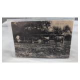 Postcard Milton Delaware scene around Milton