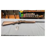 Springfield Model 2020 22 Caliber Rimfire Rifle