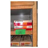 Two Boxes Federal 10 Gauge Super Slug Hollow