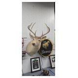 8 Point Whitetail Deer Mount