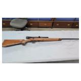 Remington model 541-s customs border 22 caliber