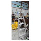 Werner 6 ft aluminum step ladder