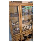 contents of cabinet tortoise shells crabs shark