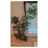 wooden cabinet, stool, artificial plants