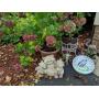 Cat Garden Ornament, Planters, Frog Thermometer,