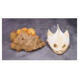 Crystal Formation & Snapping Turtle Skull