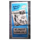 1975 Delinquent School Girls Movie Poster