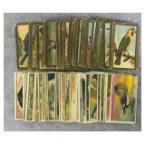 T-42 Birds Gold & Birds White Tobacco Card Sets