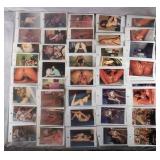 180 Amateur XXX Erotic Photographs