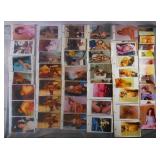 180 Amateur XXX Erotic Photographs