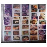 180 Amateur XXX Erotic Photographs