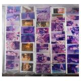 180 Amateur XXX Erotic Photographs