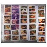 180 Amateur XXX Erotic Photographs