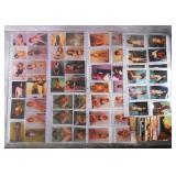 180 Amateur XXX Erotic Photographs