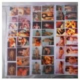 180 Amateur XXX Erotic Photographs