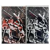 Mayhew Signed TMNT #1 2024 IDW Comics w/ COAs