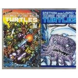 Teenage Mutant Ninja Turtles #7 1986 Mirage Comics