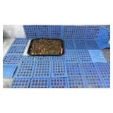 Collection Of Vintage Pennies
