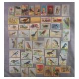 Antique & Vintage Non Sports Card Grouping