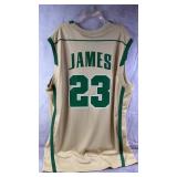 NWT Nike Team Lebron James Basketball Jersey