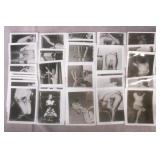 Vintage Adult Entertainment Fetish Photos