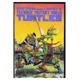 Teenage Mutant Ninja Turtles #46 1992 Key Mirage