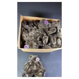 50pc NWT Zany Brainy Teddy Bears