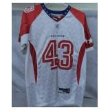 Troy Polamalu Store Model All-Pro Jersey