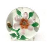Clematis Flower Glass Paperweight & Shadowbox