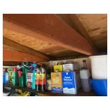 Lot of Assorted Cleaning, Painting, and Garden Supplies