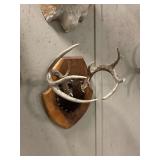 Mounted Deer Antlers on Wood Plaque