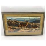 Framed "Mule Deer" Print by N. Glazier 71/200
