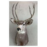 c. 1990 Wyoming 3x3 Mule Deer Mount