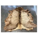 Elk Hide Rug, Hair-On Tanned Hide, 68 x 60