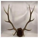 Elk Antlers