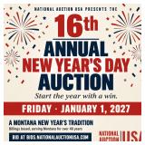 16th Annual New Years Day Auction
