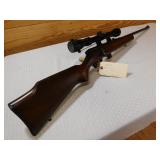 marlin model 25N .22