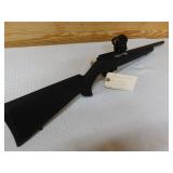 Radical Arms RF .22