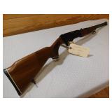 Western Field M894 .22
