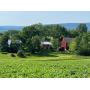353 N Crawford Rd, Grantville, PA 17028