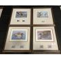 Federal Duck State Stamps/ Painting.