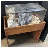 Seashell & Coral Display.