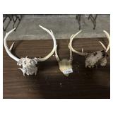 2 Deer Skulls W/ Antlers & Spike Skull Cap.