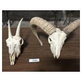 Ram Skull W/ Horns & Goat Skull.