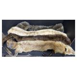 (4) Early Fur Stoles.