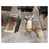 Taxidermy Ring Neck Pheasant, White Tail Buck Taxidermy Ring Neck Pheasant, White Tail Buck