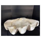 Giant Clam Shell.