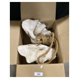 2 Giant Tridacna Clam Shells & Rope.