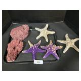 Starfish & Coral.